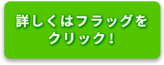詳しくはフラッグをクリック