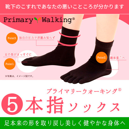 プライマリーウォーキング®ソックス